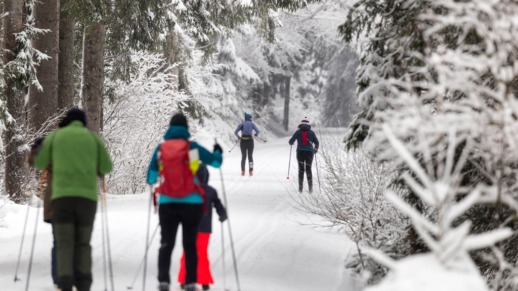 Auf einem ehemaligen Bahndamm in der Nähe von Frauenwald lässt es sich gut Ski laufen. (Archivbild)