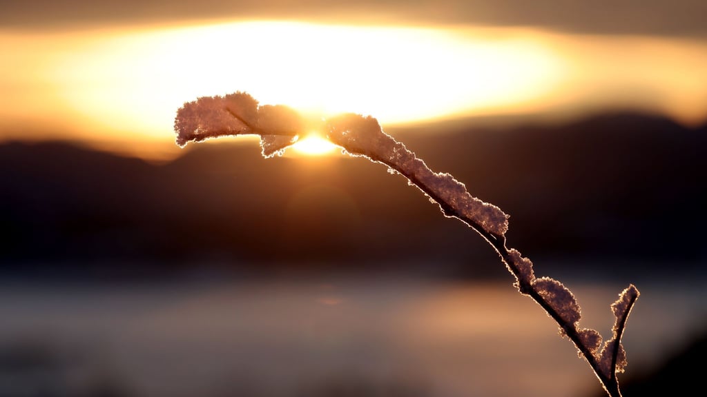 Zeitweise sonnig: Darauf können sich die Menschen am Montag im Nordosten sowie ganz im Süden freuen. (Archivbild)