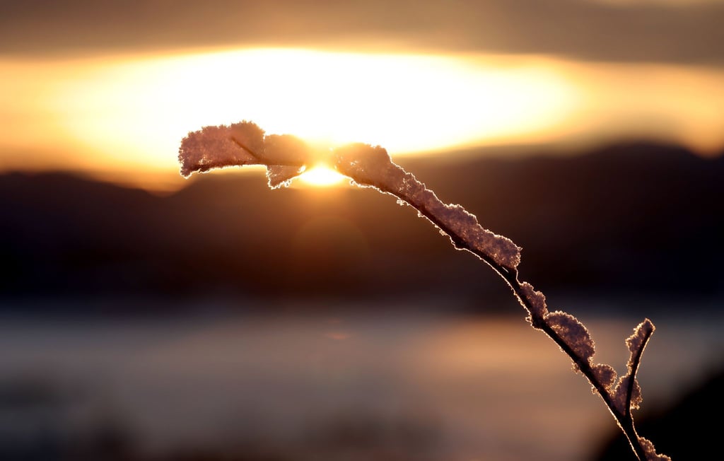 Zeitweise sonnig: Darauf können sich die Menschen am Montag im Nordosten sowie ganz im Süden freuen. (Archivbild)