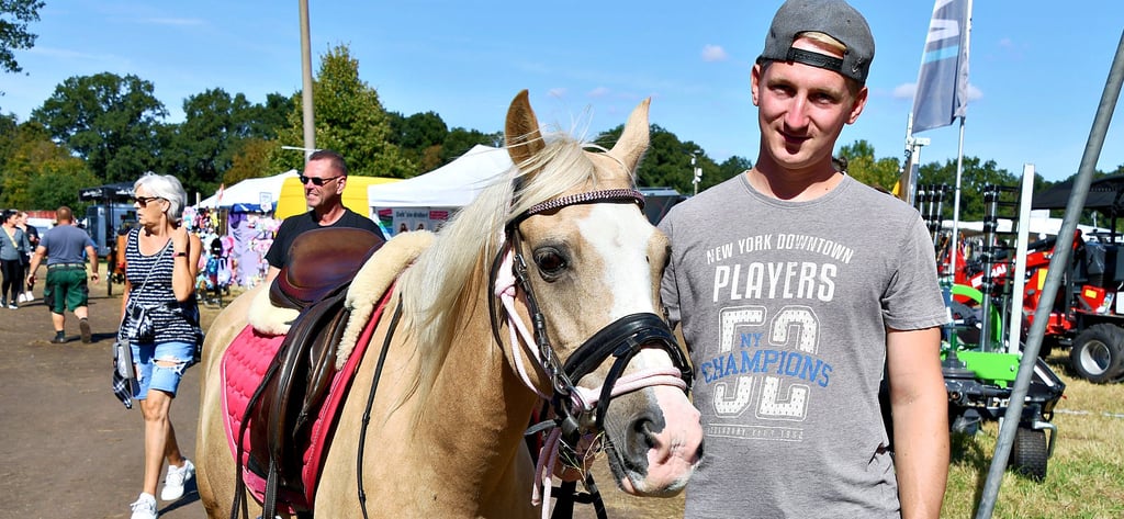 Der Havelberger Pferdemarkt soll sein ganz besonderes Flair behalten, auch wenn höhere Sicherheitsmaßnahmen erforderlich sind. Zur Kompensierung der Kosten gibt es Vorschläge von der Verwaltung.