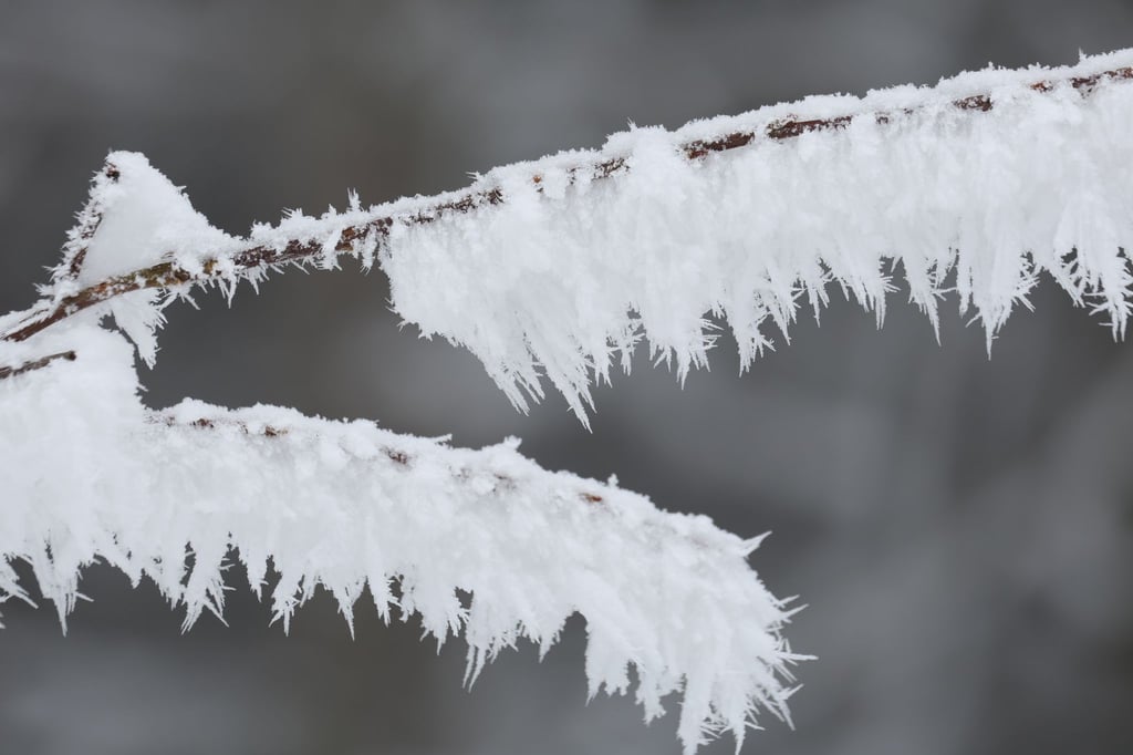 Die Woche wird kalt, stürmisch und glatt (Archivbild).