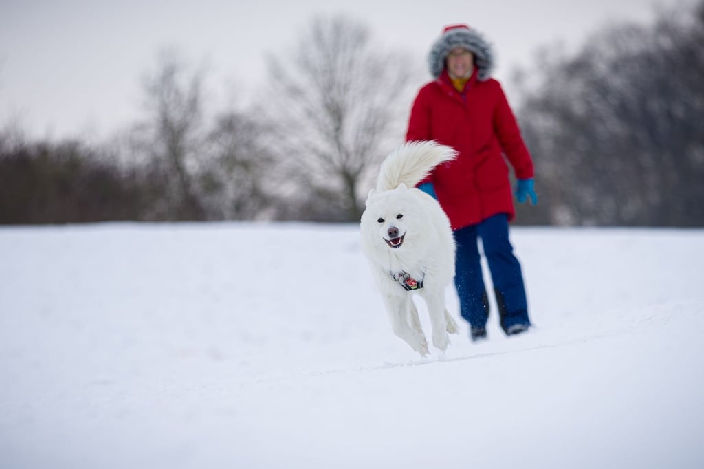 Auch zum Wochenstart bleibt es in Niedersachsen frostig kalt.