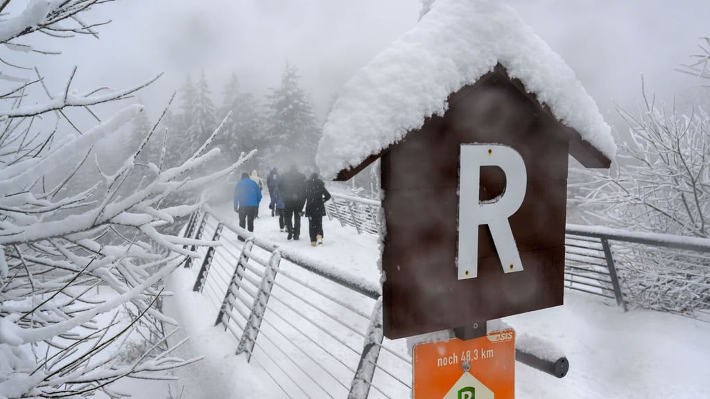 Der Rennsteig-Skiwanderweg gilt mit 142 Kilometer Länge als längster durchgängig beschilderter Fernskiwanderweg in Mitteleuropa. (Archivfoto)