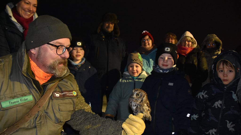 „Westkreischeulen leben in Amerika, westlich der Rocky Mountains“, stellt der Ranger Thomas Klöber seinen gefiederten Begleiter vor. Der Falkner kennt seinen Vogel genau: „Kenny ist bei seinen Eltern in der Voliere groß geworden und als Jungvogel zu mir gekommen. Er vertraut mir – aber streicheln und kuscheln mag er nicht. Er ist der Chef.“