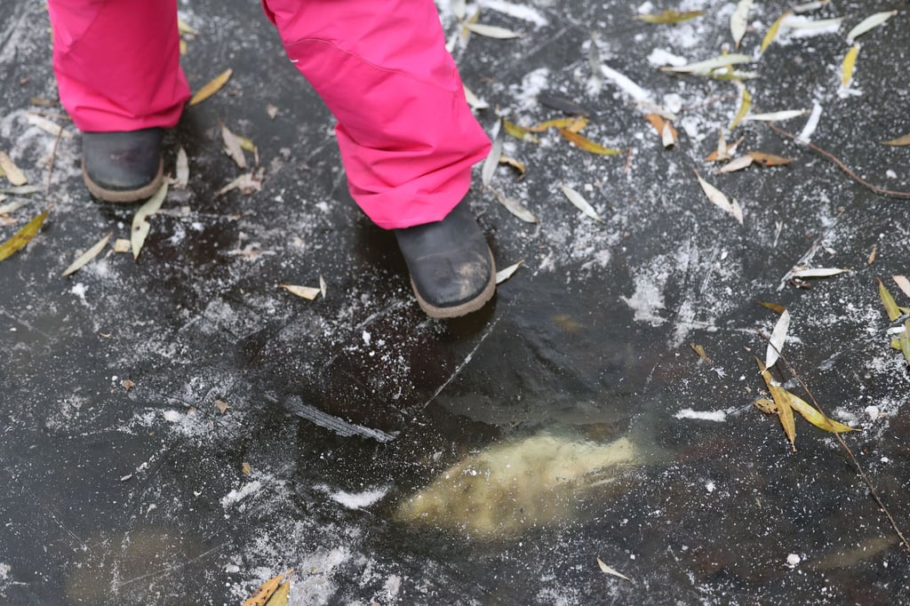 Schneedecken auf Gewässern können bei Fischen zu Sauerstoffmangel führen. (Archivbild)