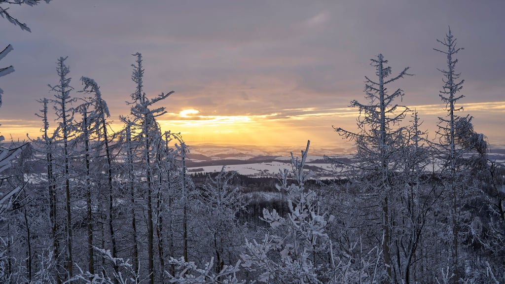 Schnee und gefrierender Regen lassen die Straßen in Sachsen-Anhalt wieder glatt werden