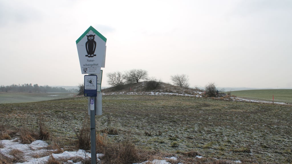 Das Naturschutzgebiet bei Friedrichsschwerz mit einer typischen Porphyrkuppe