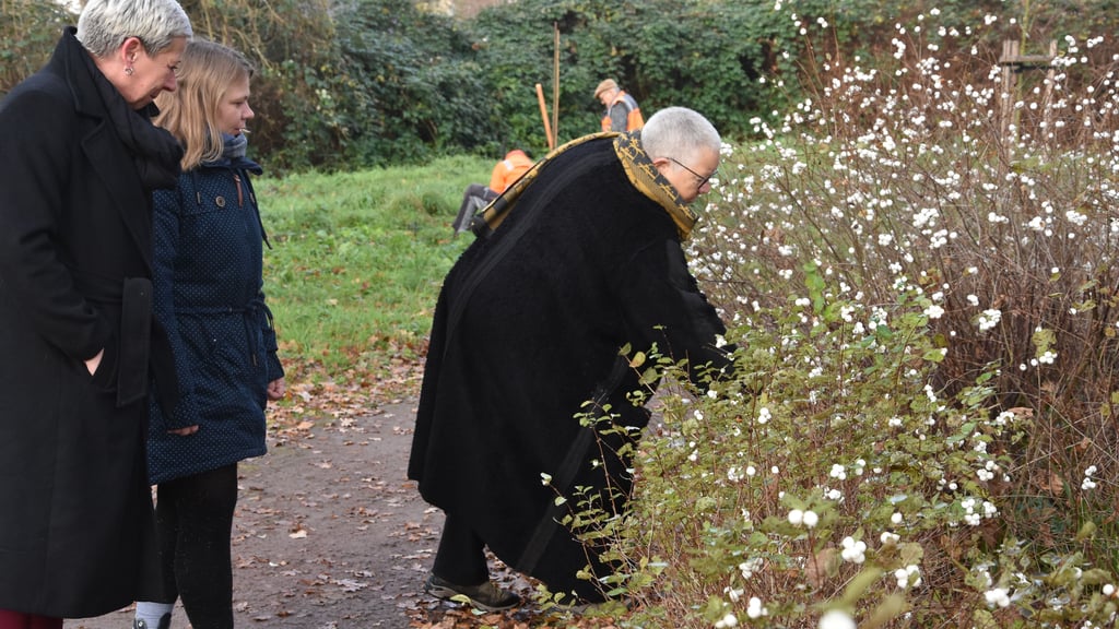 Die bisherige und künftige Kurpark-Planerin Christa Ringkamp (von rechts) bei einem Ortstermin im November, an dem auch Verwaltungsmitarbeiterin Anika Sonntag und Vize-Bürgermeisterin Manuela Dietrich-Beckers teilnahmen.