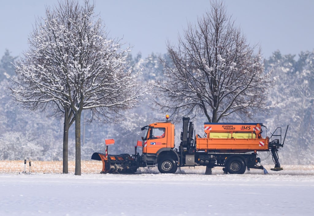 Naturschützer: Streusalz im Winter schädigt Bäume im Sommer. (Symbolbild)