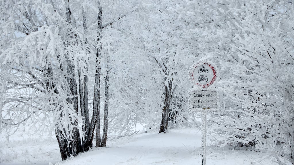 Seit Jahrhunderten schwören viele Menschen auf Bauernregeln. Doch was sagt das aktuelle Wetter laut ihnen über den weiteren Verlauf des Jahres aus?