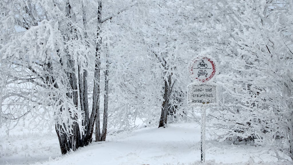 Seit Jahrhunderten schwören viele Menschen auf Bauernregeln. Doch was sagt das aktuelle Wetter laut ihnen über den weiteren Verlauf des Jahres aus?