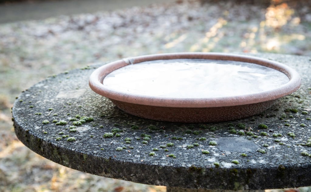 Bei Minusgraden: Eine vereiste Vogeltränke bietet Vögeln kein Trinkwasser mehr.