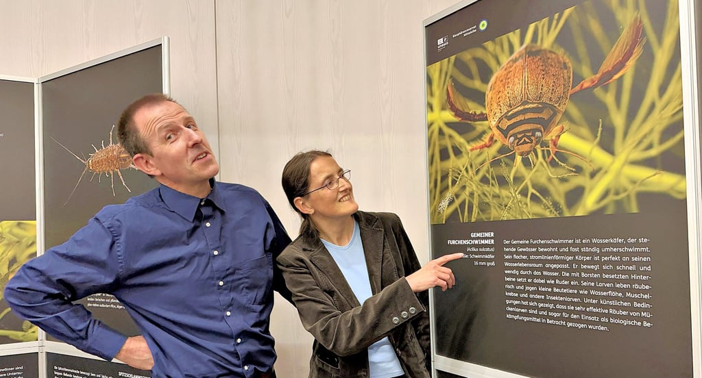 Fotografin Corinna Kroll und ihr Partner Manuel Thiel in der Ausstellung „Große kleine Wasserwelt – Wirbellose“ im Haus der Flüsse in Havelberg.