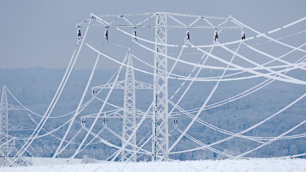 Der Dauerfrost hat im Harz zu vereisten Halteseilen von Hochspannungsleitungen geführt und diese zu einem Sicherheitsrisiko werden lassen.
