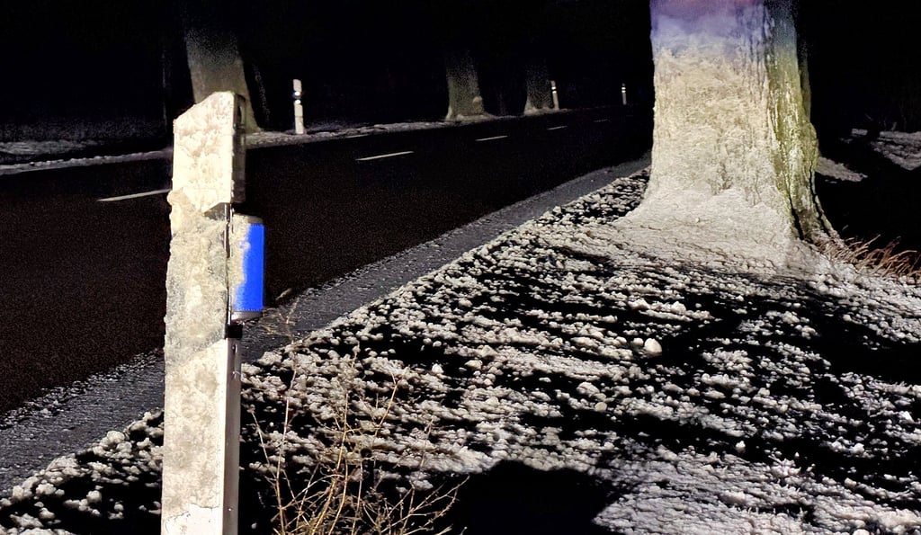 Blaue Wildwarnreflektoren finden sich auch an den Straßenbäumen der B107 nördlich von Havelberg in Richtung Glöwen. Sie stammen jedoch nicht aus dem Pilotprojekt der Landesstraßenbaubehörde Sachsen-Anhalt.