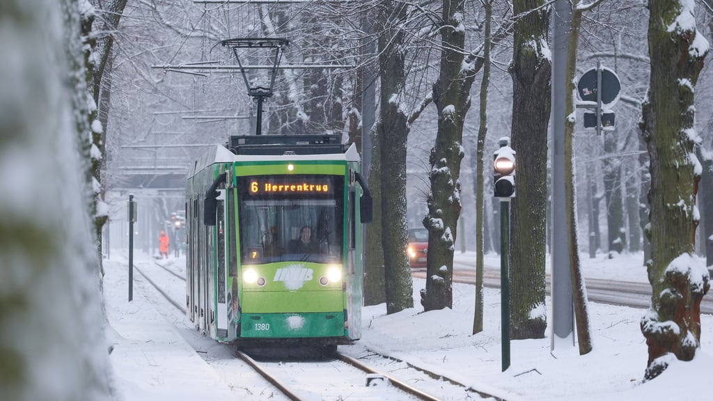 Eine Straßenbahn fährt durch das winterliche Magdeburg. Immer wieder werden Sachen darin vergessen. Die Abholung im MVB-Kundenzentrum ist nicht so einfach.