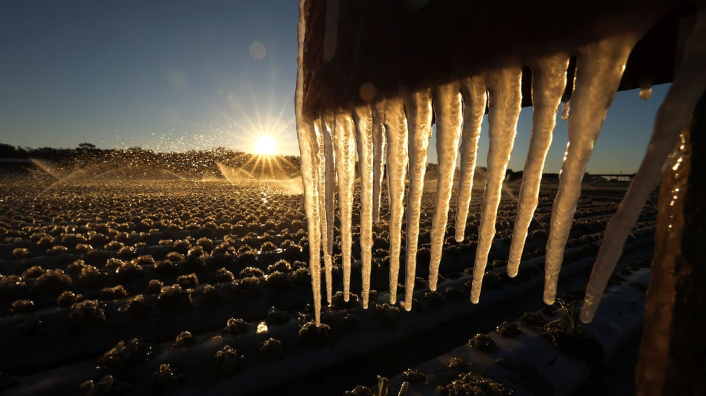 Ein Polarwirbel-Split könnte eiskalte Luft direkt nach Sachsen-Anhalt bringen. Meteorologen warnen vor einer möglichen Verschärfung ab Mitte Februar.