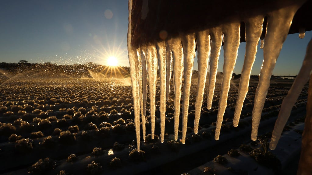 Ein Polarwirbel-Split könnte eiskalte Luft direkt nach Sachsen-Anhalt bringen. Meteorologen warnen vor einer möglichen Verschärfung ab Mitte Februar.