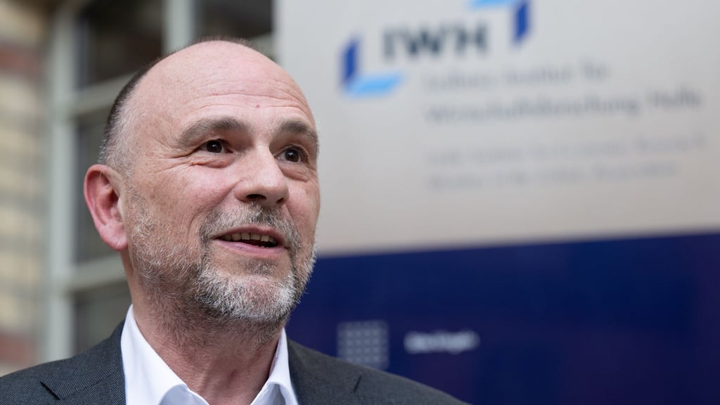 Der Präsident des Leibniz-Instituts für Wirtschaftsforschung Halle (IWH), geht davon aus, dass Sachsen-Anhalt bei einem möglichen Landtagswahlsieg der AfD an Attraktivität verlieren könnte. (Archivbild)