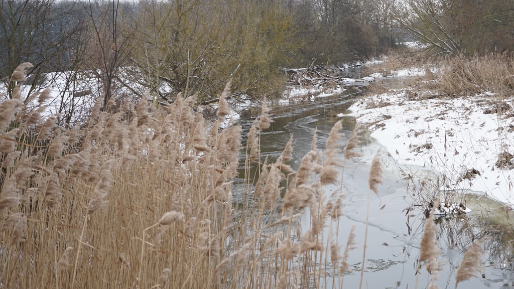 Noch fließt die Ohre. Lediglich am Rand haben sich Eisschollen gebildet.