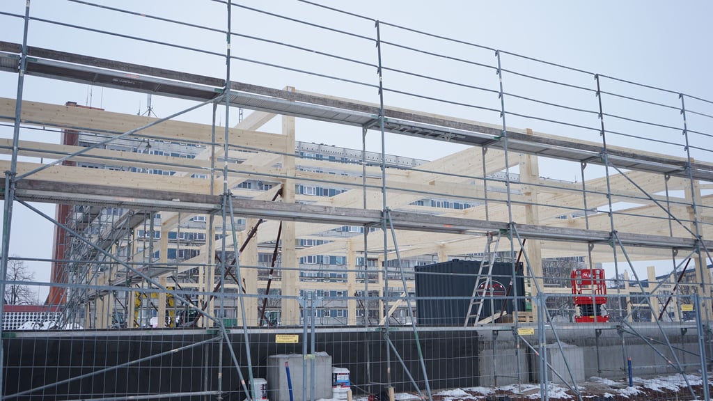 Aldi baut den neuen Markt in Holzbauweise - auch bei Frost.