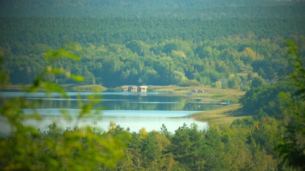 Der Gröberner See im Sommer. Derzeit ist er zumindest in Teilen vereist.