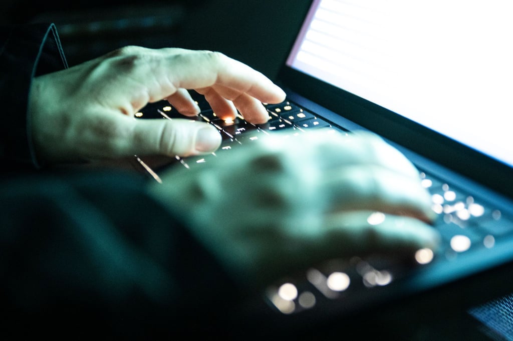 Die Täter verschafften sich Zugang zum Computer des Opfers. (Symbolbild)