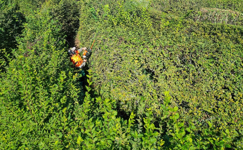 Teile des Gartenreich Dessau-Wörlitz sollen besser gegen Folgen des Klimawandels geschützt werden. (Archivbild)