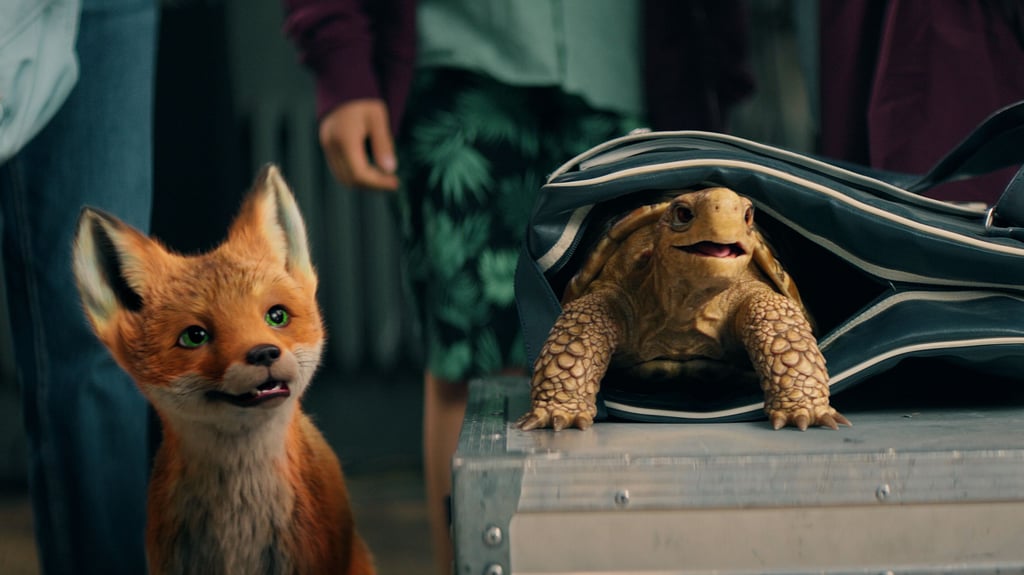 Seit dem Film „Die Schule der magischen Tiere 2“ verwandelt sich das Wernigeröder Schloss in die „Wintersteinschule“. Drehorte und Requisiten werden bei Führungen gezeigt.