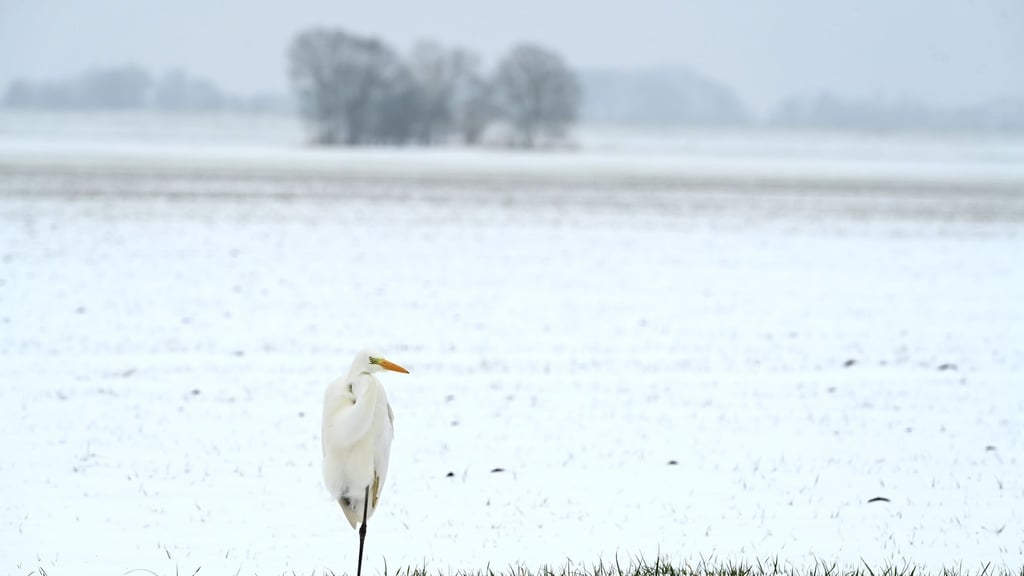 Das ungemütliche Winterwetter hält weiter an. (Symbolbild)
