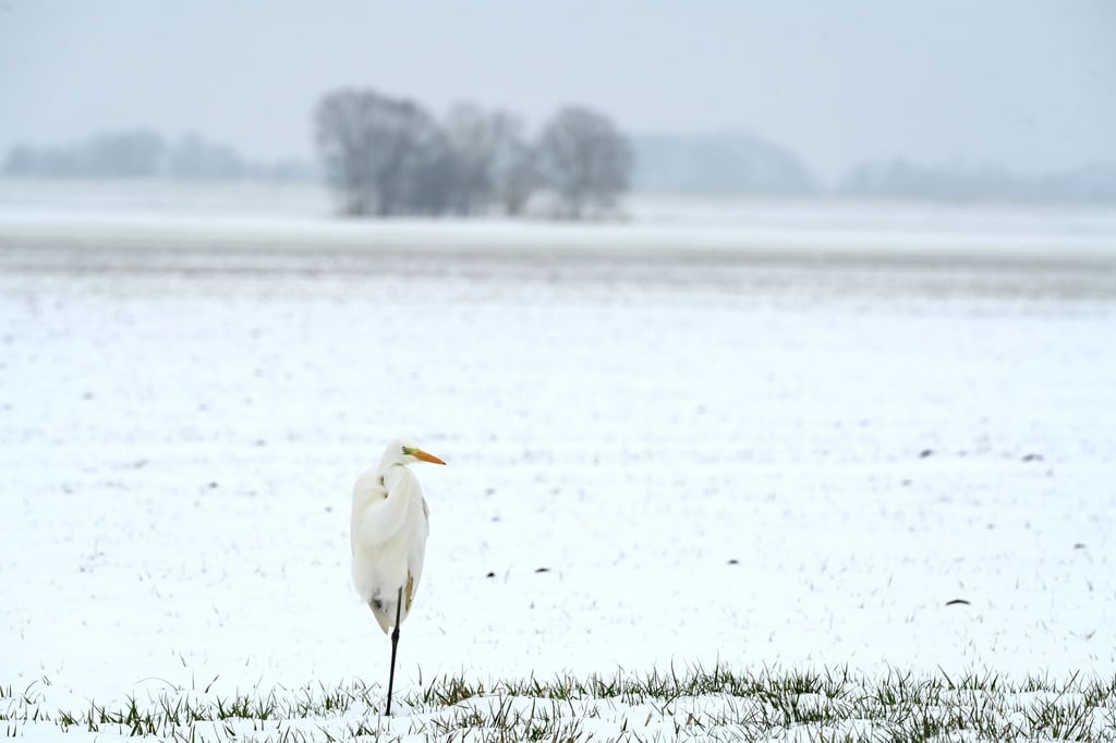 Das ungemütliche Winterwetter hält weiter an. (Symbolbild)