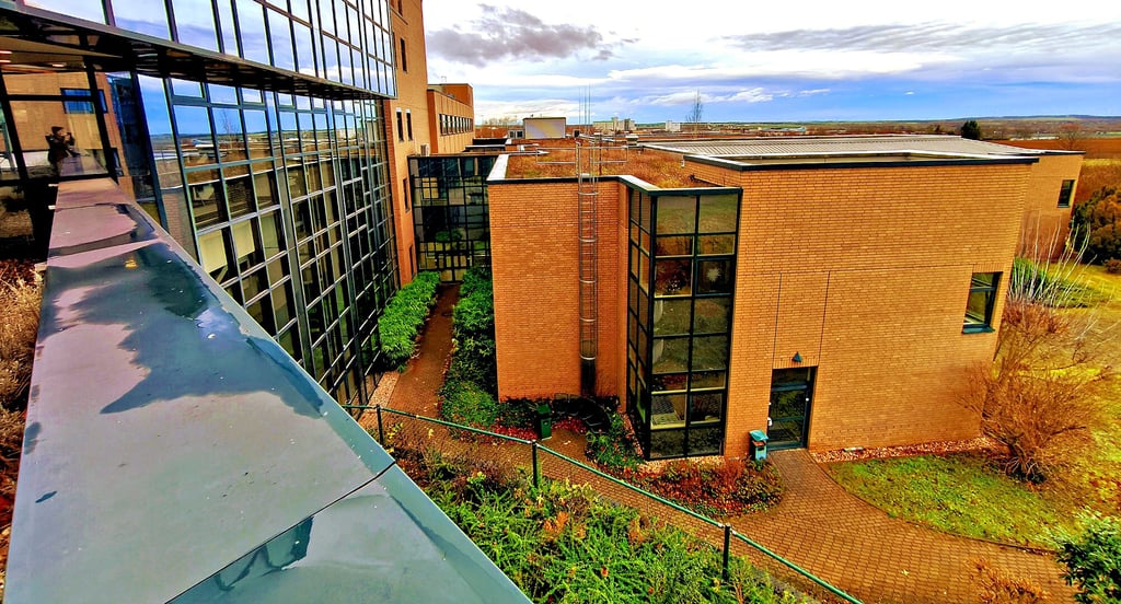 Den Standort Querfurt will das Basedow-Klinikum zum Gesundheitszentrum umbauen. Dieses Jahr gibt es Arbeiten auf vier Stationen. 