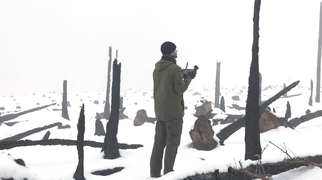 Verkohlte Baumreste künden noch vom großen Waldbrand auf der Saalfelder Höhe, auf der eine Drohne Baumsaat zur Wiederaufforstung aufbringt.