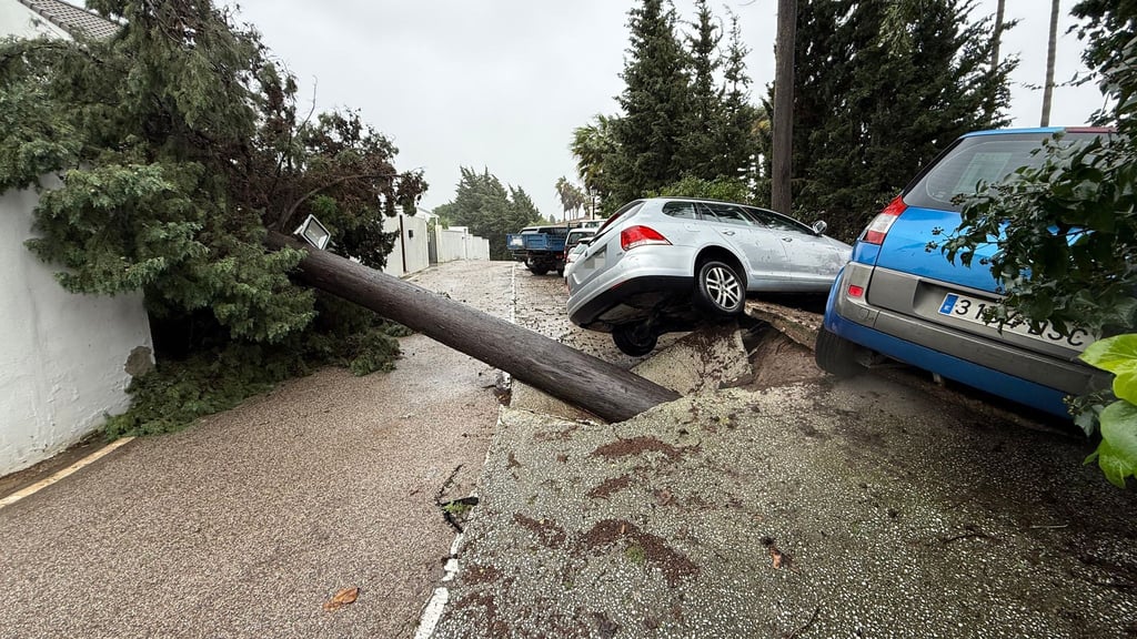 In der südspanischen Region Andalusien hat das Sturmtief "Lenonardo" für Chaos gesorgt.