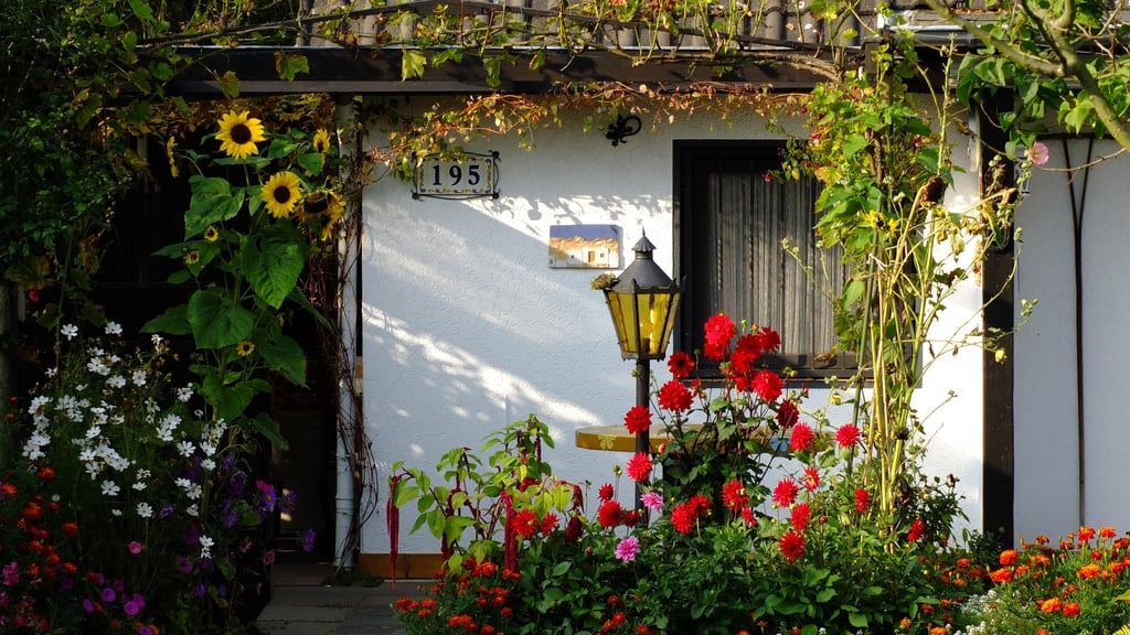 Was ist erlaubt und was nicht? Die Stadt Dessau-Roßlau will bei illegal ausgebauten Lauben künftig härter durchgreifen.