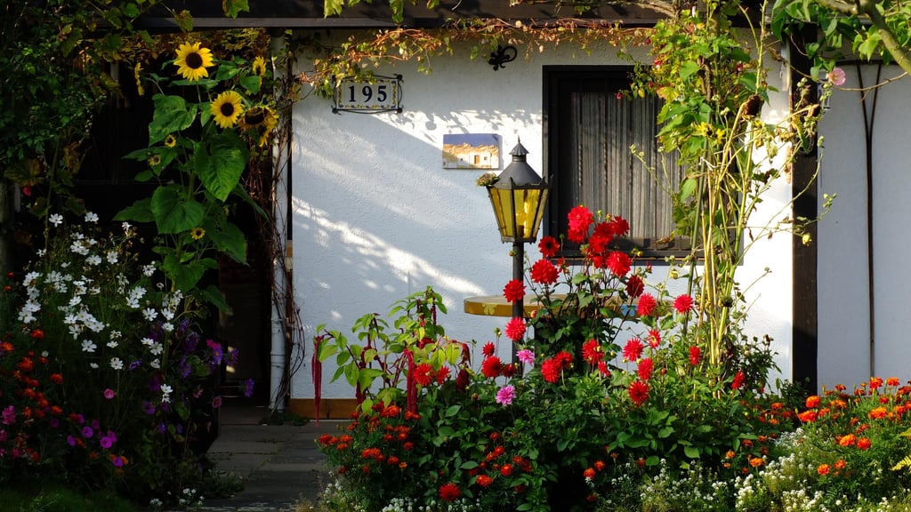 Was ist erlaubt und was nicht? Die Stadt Dessau-Roßlau will künftig härter durchgreifen. 