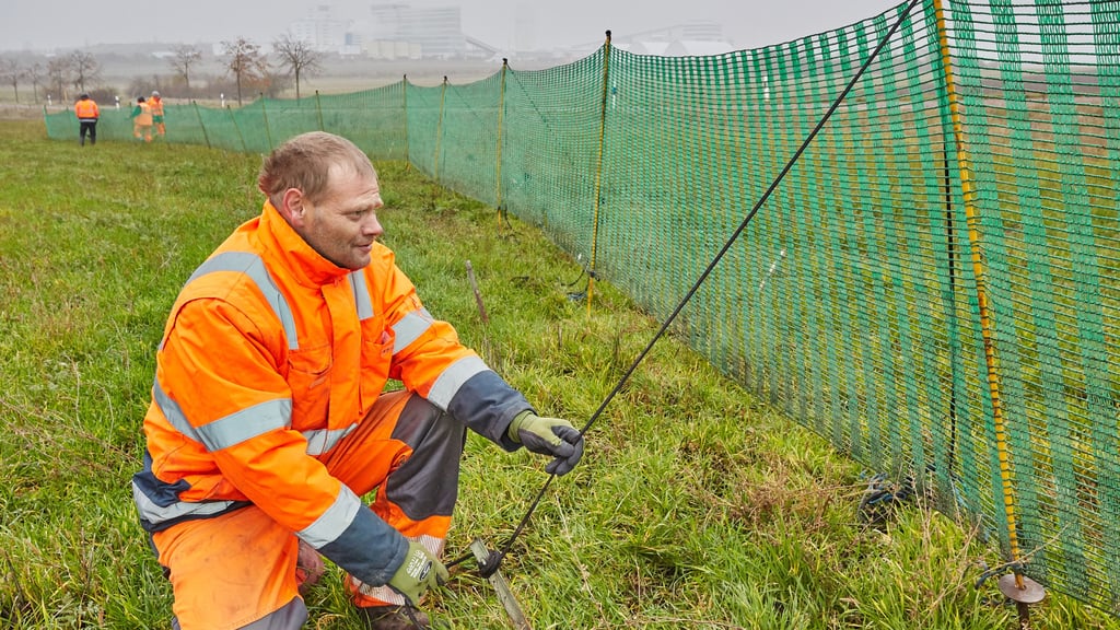 Vielerorts in Sachsen-Anhalt wurden in Vorbereitung der Winterdienstsaison Schneezäune entlang von Straßen aufgebaut - entlang der B 184 zwischen Zerbst und Dessau diesmal nicht.