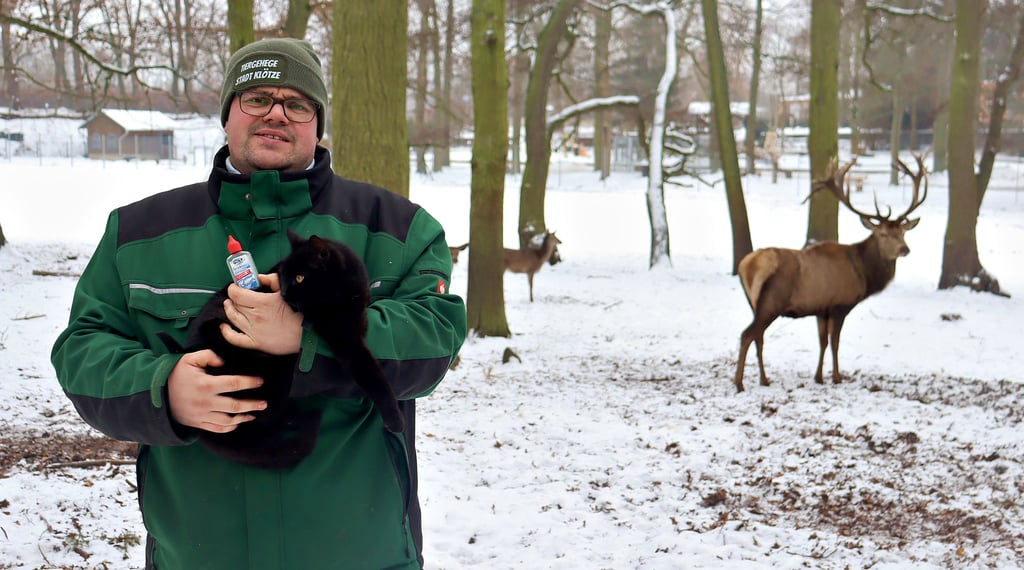 Karsten Langleist ist Tierpfleger im Tierpark Klötze.