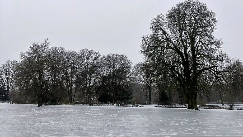 Die Wiese im Wittenberger Schlosspark ist von einer dicken Eisschicht überzogen.
