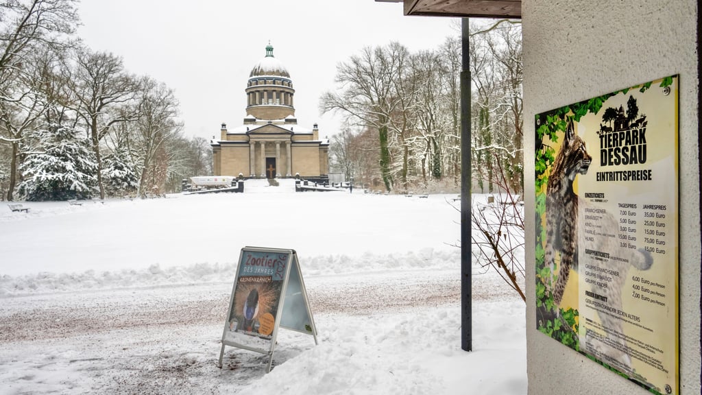 Der Tierpark in Dessau bleibt am Freitag geschlossen. 