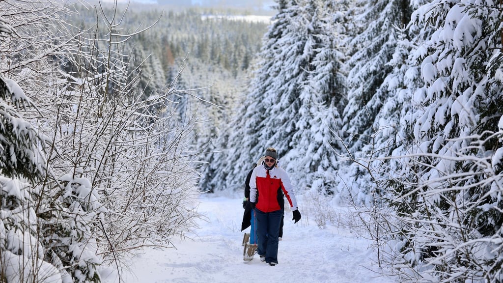 Das stabile Winterwetter mit genügend Schnee lockt viele Besucher in den Harz. (Archivbild)