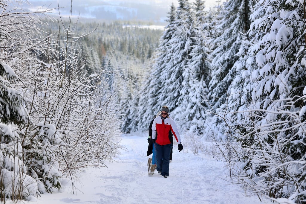 Das stabile Winterwetter mit genügend Schnee lockt viele Besucher in den Harz. (Archivbild)