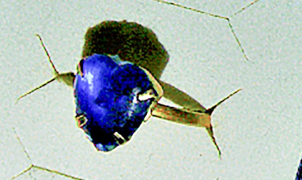 Wer kennt diesen Ring?