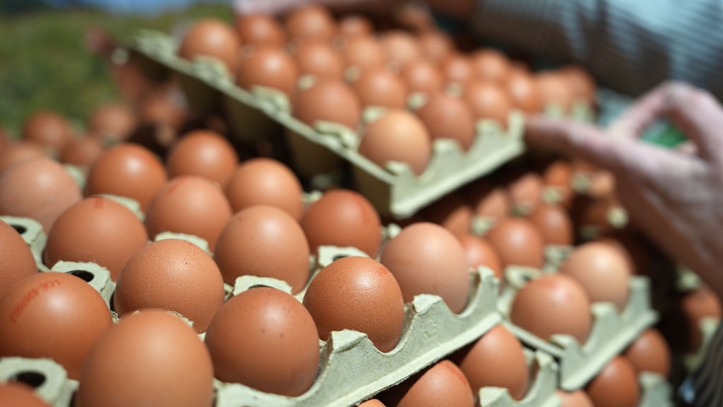 Eier sind im Jahresvergleich deutlich teurer geworden. (Archivbild)