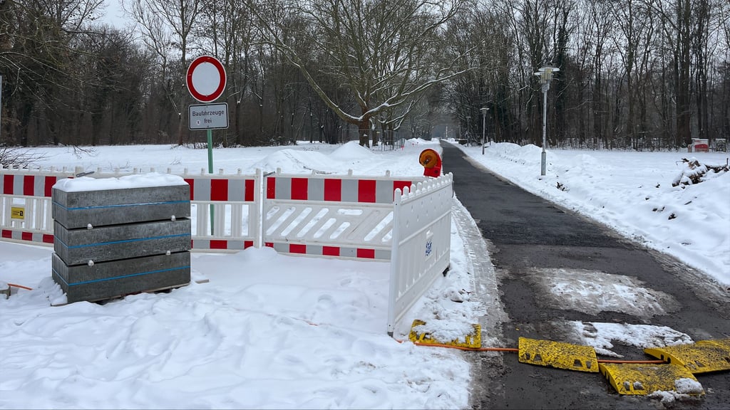 Einen neuen Straßenbelag bekommt die Birkenallee auf der Peißnitz in Halle.