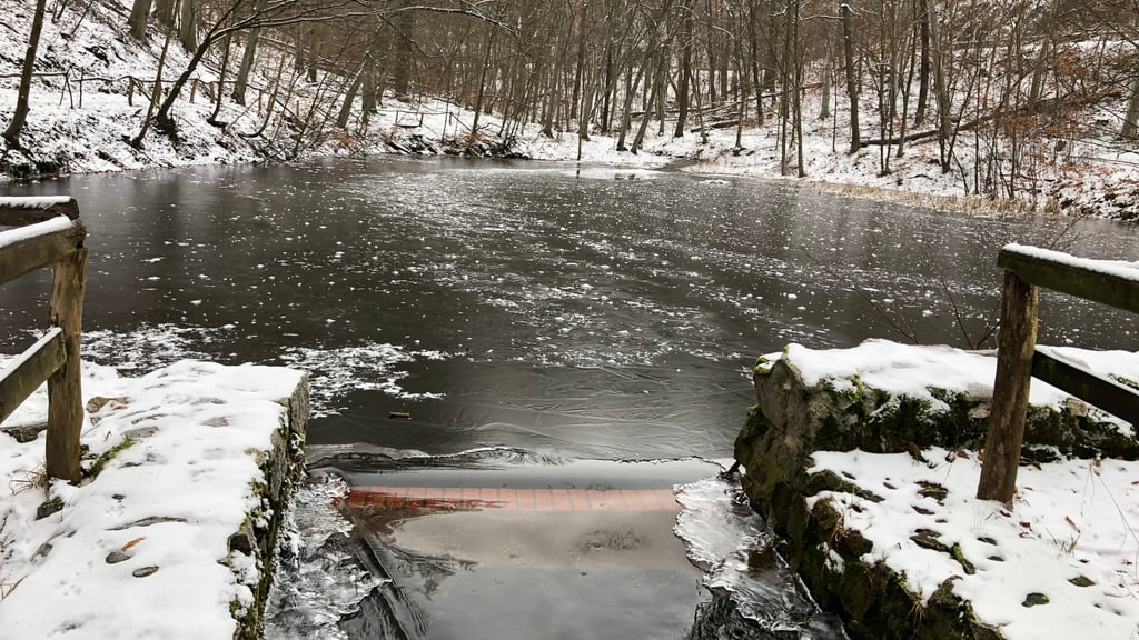 Die Sanierung des Fischteiches im Kurpark in Bad Suderode gehört zu den Projekten, die seit langem geplant sind, bislang wegen fehlender Finanzierung aber nicht umgesetzt werden konnten.