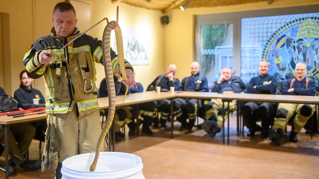 Im Magdeburger Zoo lernen Feuerwehrleute den Umgang mit gefährlichen Tieren wie Schlangen, Spinnen und Skorpione.