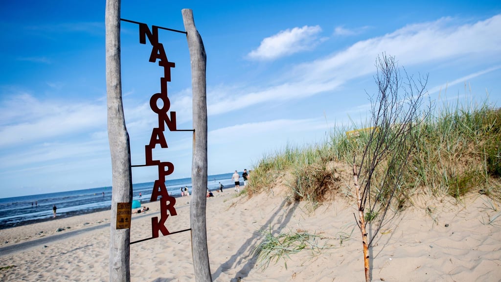 Der Nationalpark Wattenmeer gilt als Aushängeschild Niedersachsens. (Archivbild)