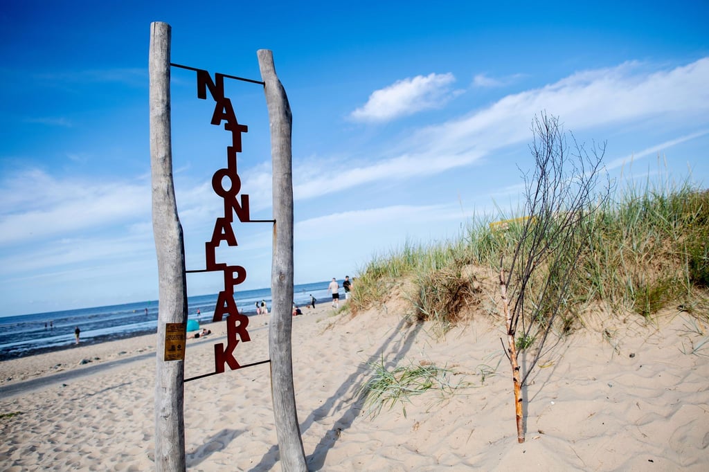 Der Nationalpark Wattenmeer gilt als Aushängeschild Niedersachsens. (Archivbild)
