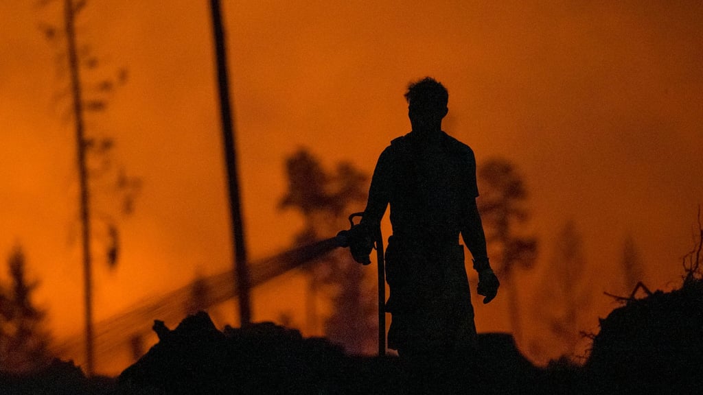 In Thüringen wurden 2025 deutlich mehr Waldbrände gezählt als im Jahr zuvor, besonders der Brand auf der Saalfelder Höhe machte sich in der Waldbrandstatistik bemerkbar. (Archivbild)